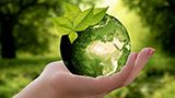 Corporate Sustainability Online Courses
